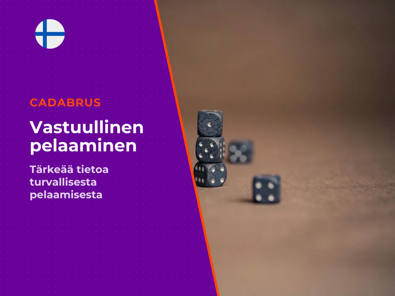 OIKEUDELLINEN DISCLAIMER JA TUKIPALVELUT Tämä artikkeli