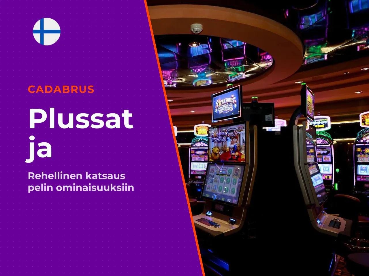Plussat ja miinukset. Mistä pidämme Plussat